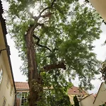 Hotel Monastery Garden